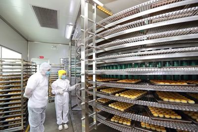 減稅降費助力企業發展，共筑創業就業新藍圖